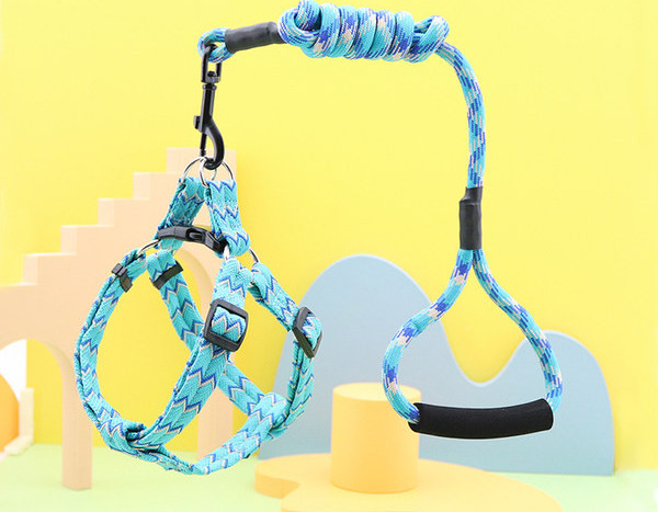 Ham + lesă pentru câini