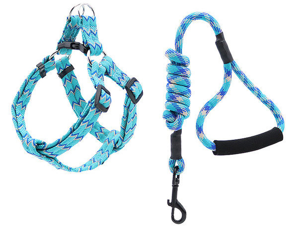 Ham + lesă pentru câini