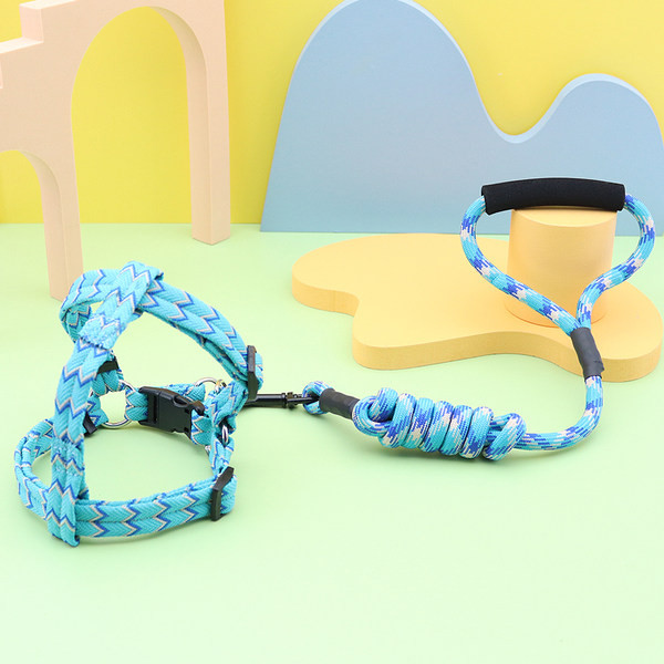 Ham + lesă pentru câini