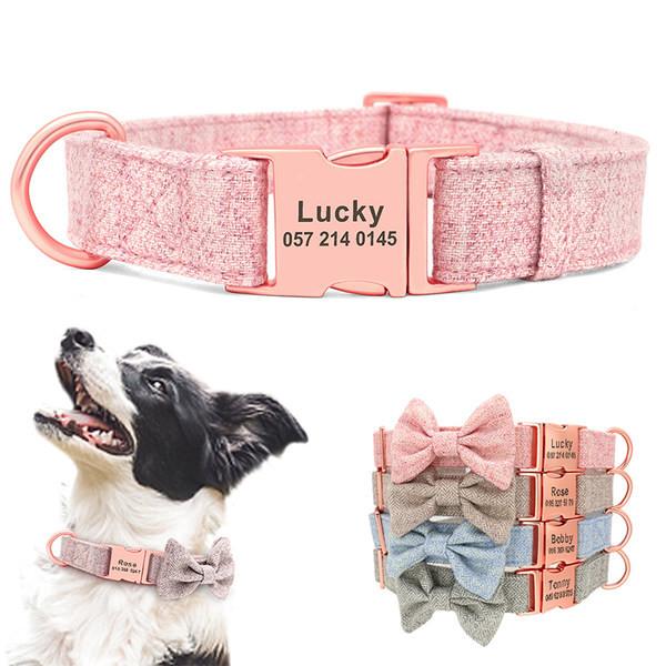 Lesa sau zgarda pentru caini