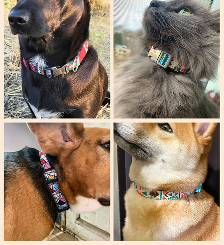 Guler sau lesă colorată pentru câini cu element metalic