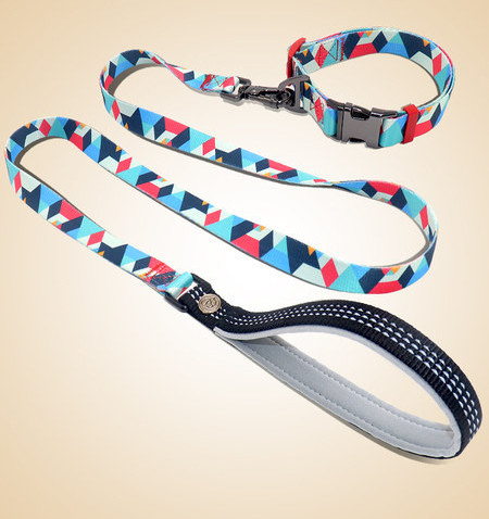 Guler multicolor pentru caini cu lesa