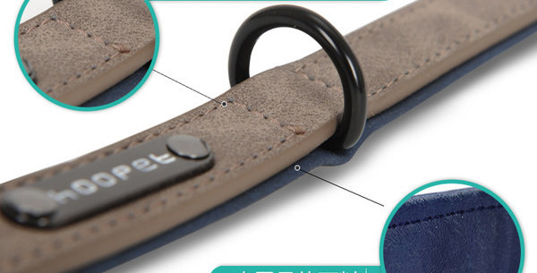 Guler de caine in mai multe culori