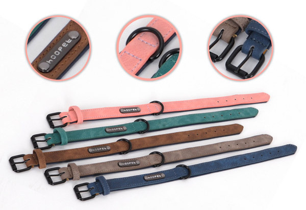 Guler de caine in mai multe culori