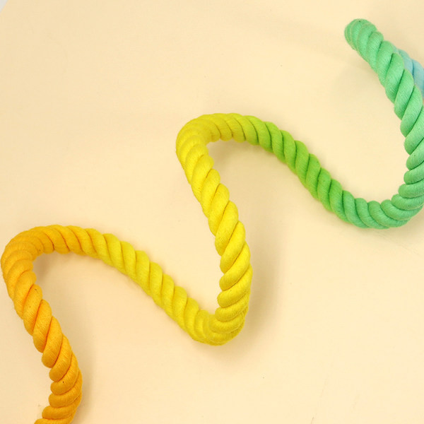 Lesa de caine colorata cu inchizator metalic