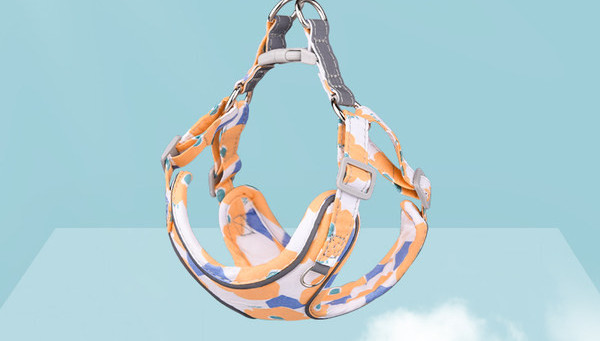 Bavetă reglabilă cu lesă pentru câini