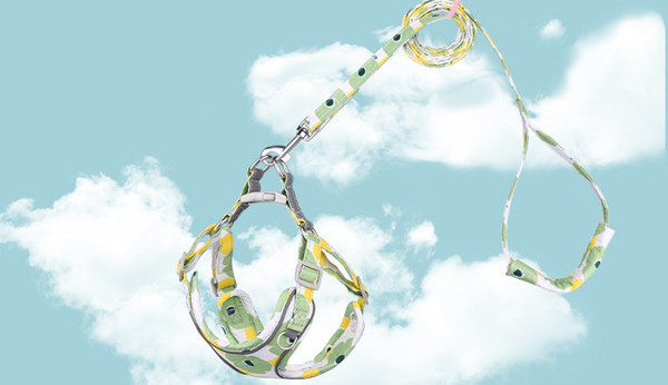 Bavetă reglabilă cu lesă pentru câini