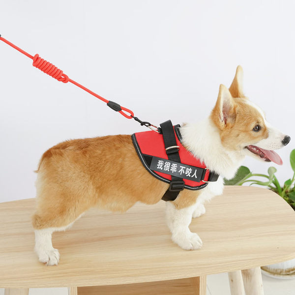 Set baveta si lesa pentru caini model nou