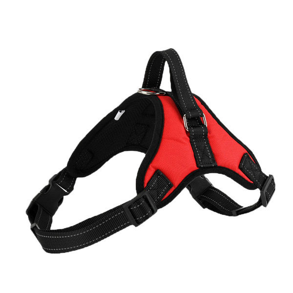 Bavete + lesa pentru caini