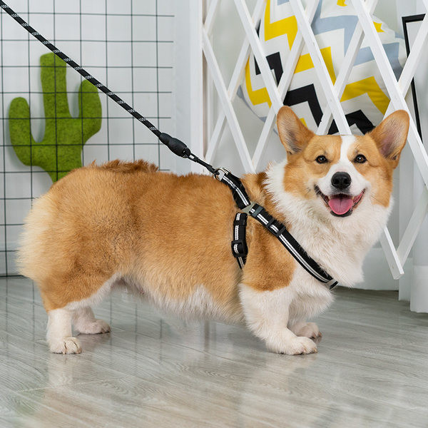 Set lesă și ham pentru câini