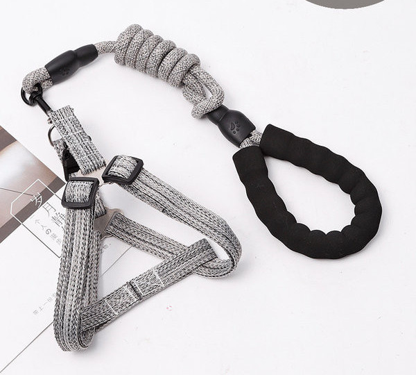 Set textil pentru caini din ham si lesa