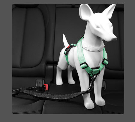 Plastist pandlaga koera pudipõlle