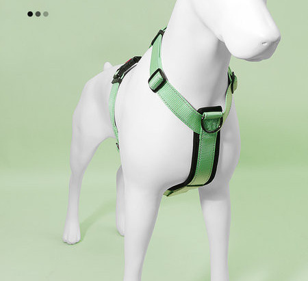 Plastist pandlaga koera pudipõlle