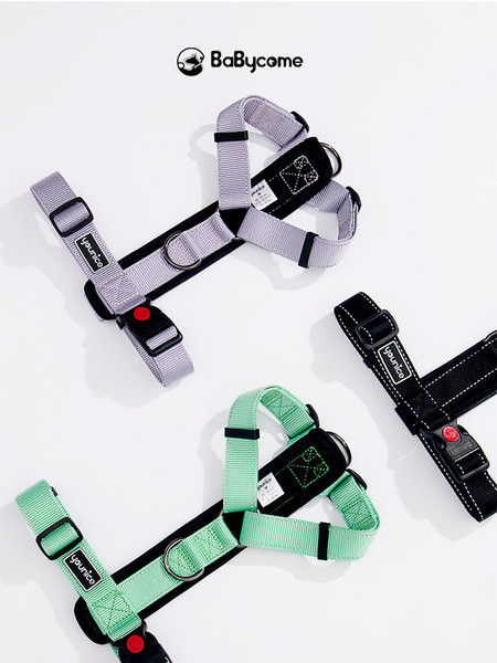 Plastist pandlaga koera pudipõlle