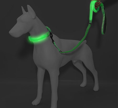 Guler de caine luminos