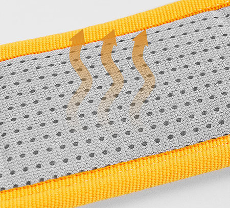 Lesa pentru caini cu zgarda si catarama din plastic