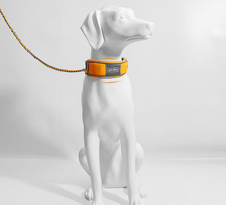 Lesa pentru caini cu zgarda si catarama din plastic