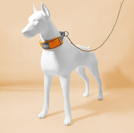 Lesa pentru caini cu zgarda si catarama din plastic