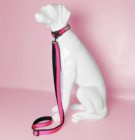 Lesa sau zgarda pentru caini din material textil