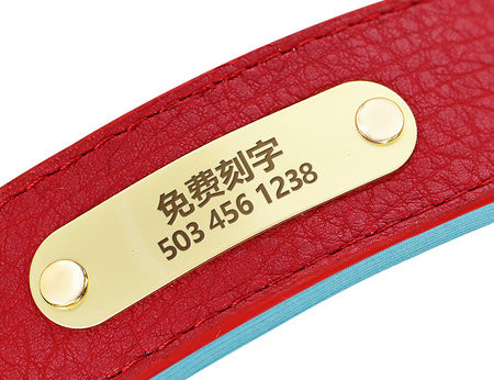 Koera nahast kaelarihm - kaks mudelit