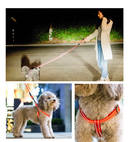 Lesă pentru câini cu bavetă sau guler