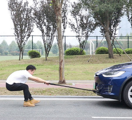 Lesa pentru caini cu zgarda si inchizatoare metalica