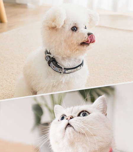 Guler pentru animale de companie cu cataramă metalică