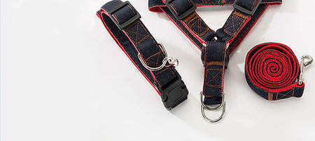 Aplikatsiooniga koerarakmed ja metallkinnitusega jalutusrihm