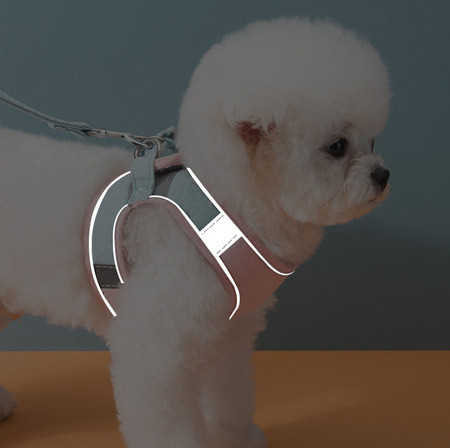 Cureaua de lesa - potrivita pentru caini si pisici