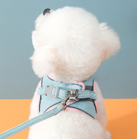 Cureaua de lesa - potrivita pentru caini si pisici