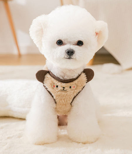 3D kaunistusega koerarakmed