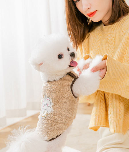 3D kaunistusega koerarakmed