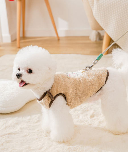 3D kaunistusega koerarakmed