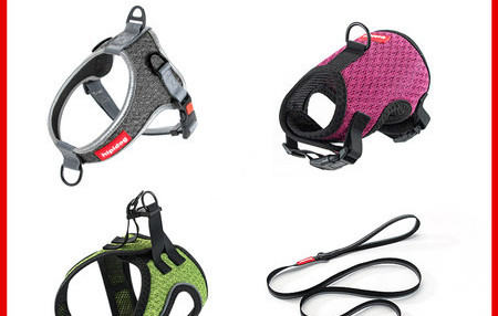 Ham pentru câini cu inscripție