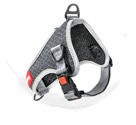 Ham pentru câini cu inscripție