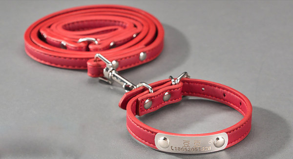 Guler de caine din piele cu sau fara lesa