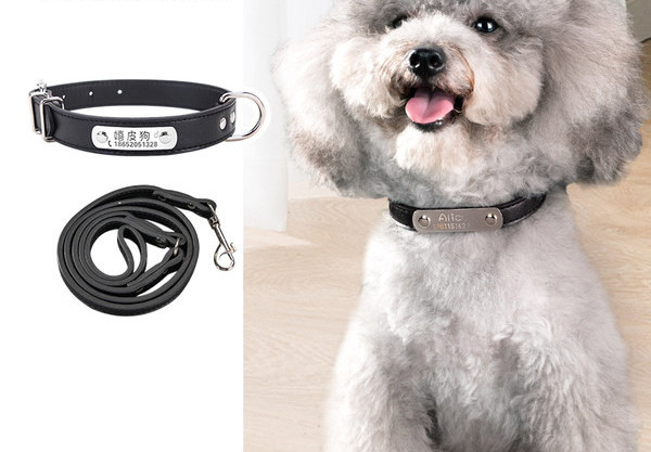 Guler de caine din piele cu sau fara lesa