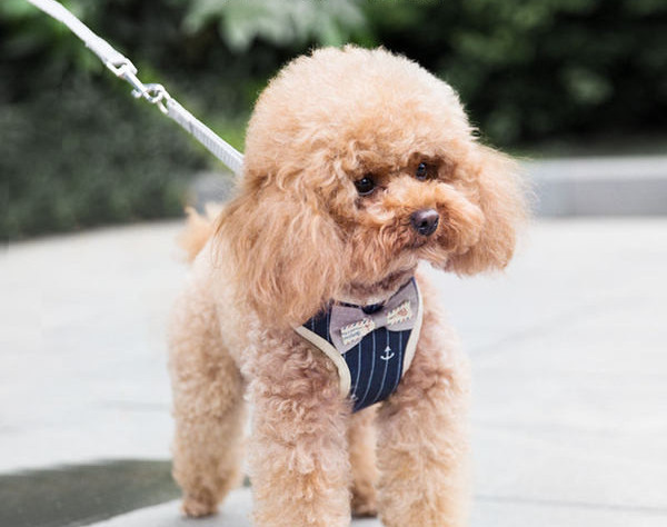 Bavete textil pentru câini cu panglică