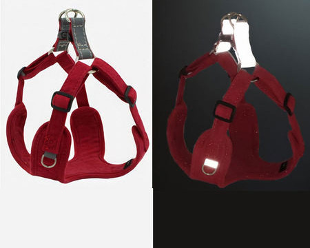 Komplekt koerte jalutusrihma ja rakmete jaoks