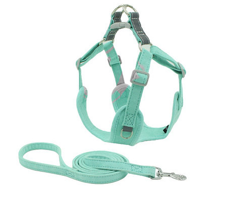 Komplekt koerte jalutusrihma ja rakmete jaoks