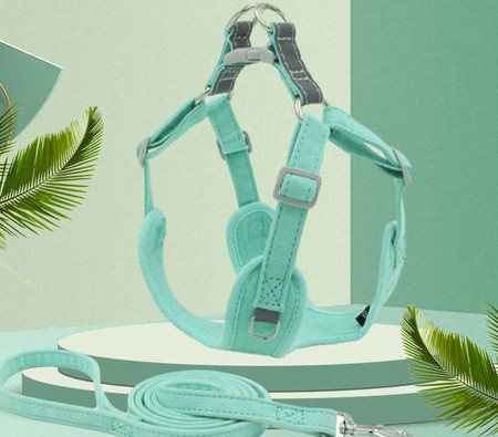 Komplekt koerte jalutusrihma ja rakmete jaoks