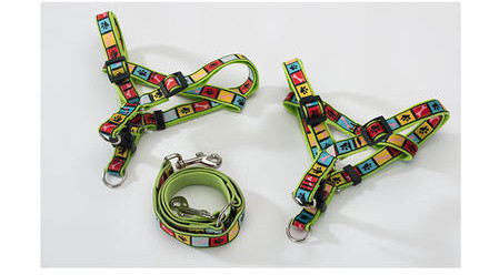 Värviline topelt reguleeritav rinnahoidjaga rihm