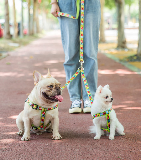 Värviline topelt reguleeritav rinnahoidjaga rihm