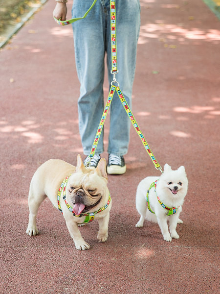 Värviline topelt reguleeritav rinnahoidjaga rihm