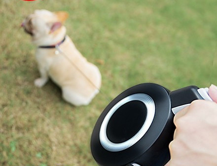 Lesa automata pentru un caine - lungime 3 m