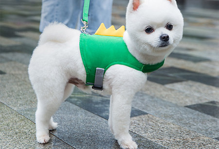 Noul model de ham pentru câini reglabil