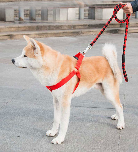 O ocazie pentru câini din material textil