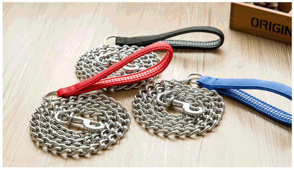 Guler de câine model simplu și lesă metalică