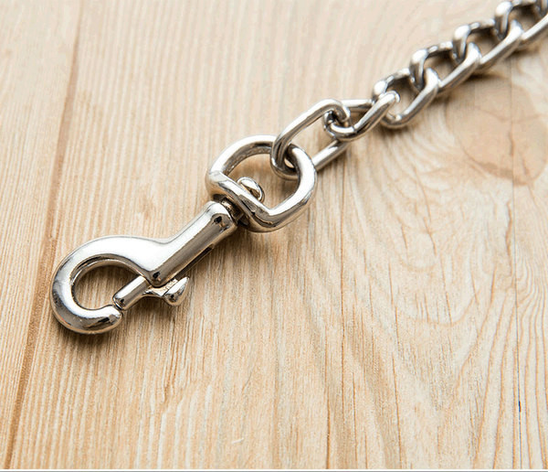 Guler de câine model simplu și lesă metalică