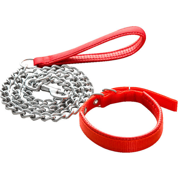 Guler de câine model simplu și lesă metalică